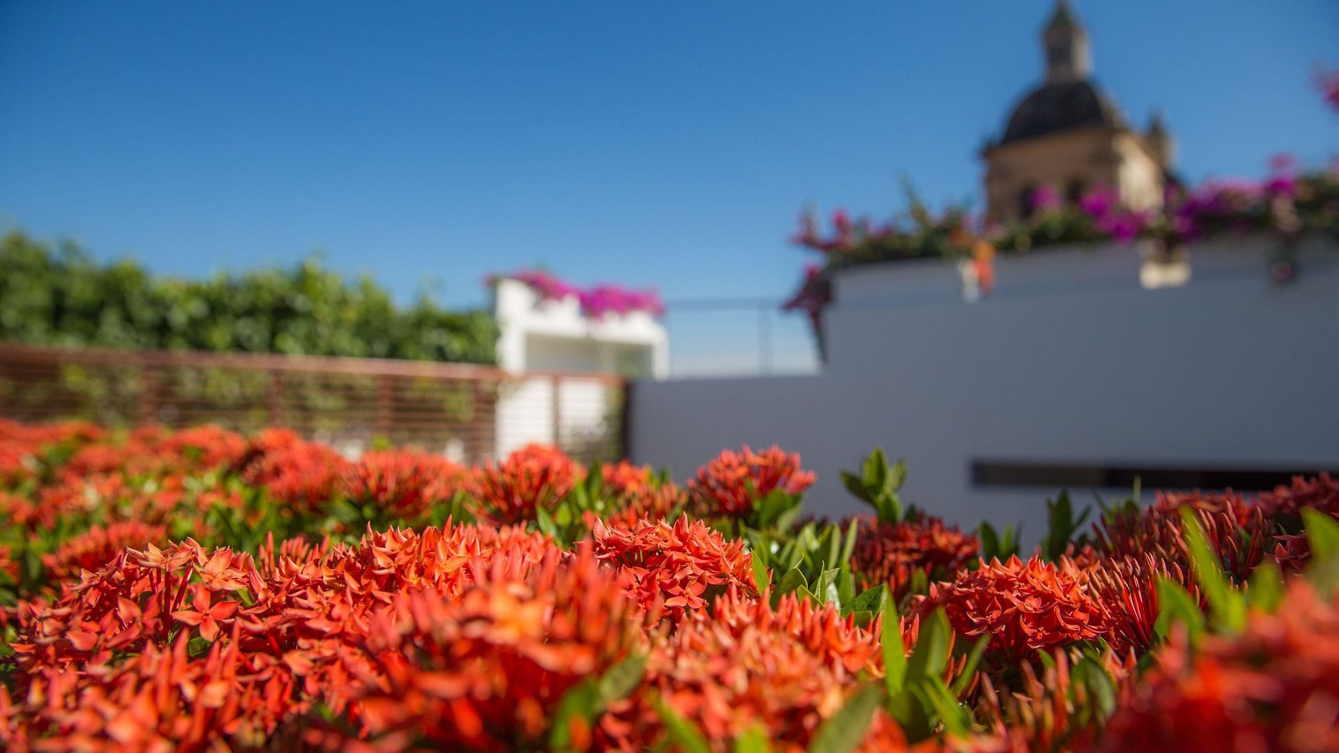 Casa Claver Loft Boutique Hotel Cartagena