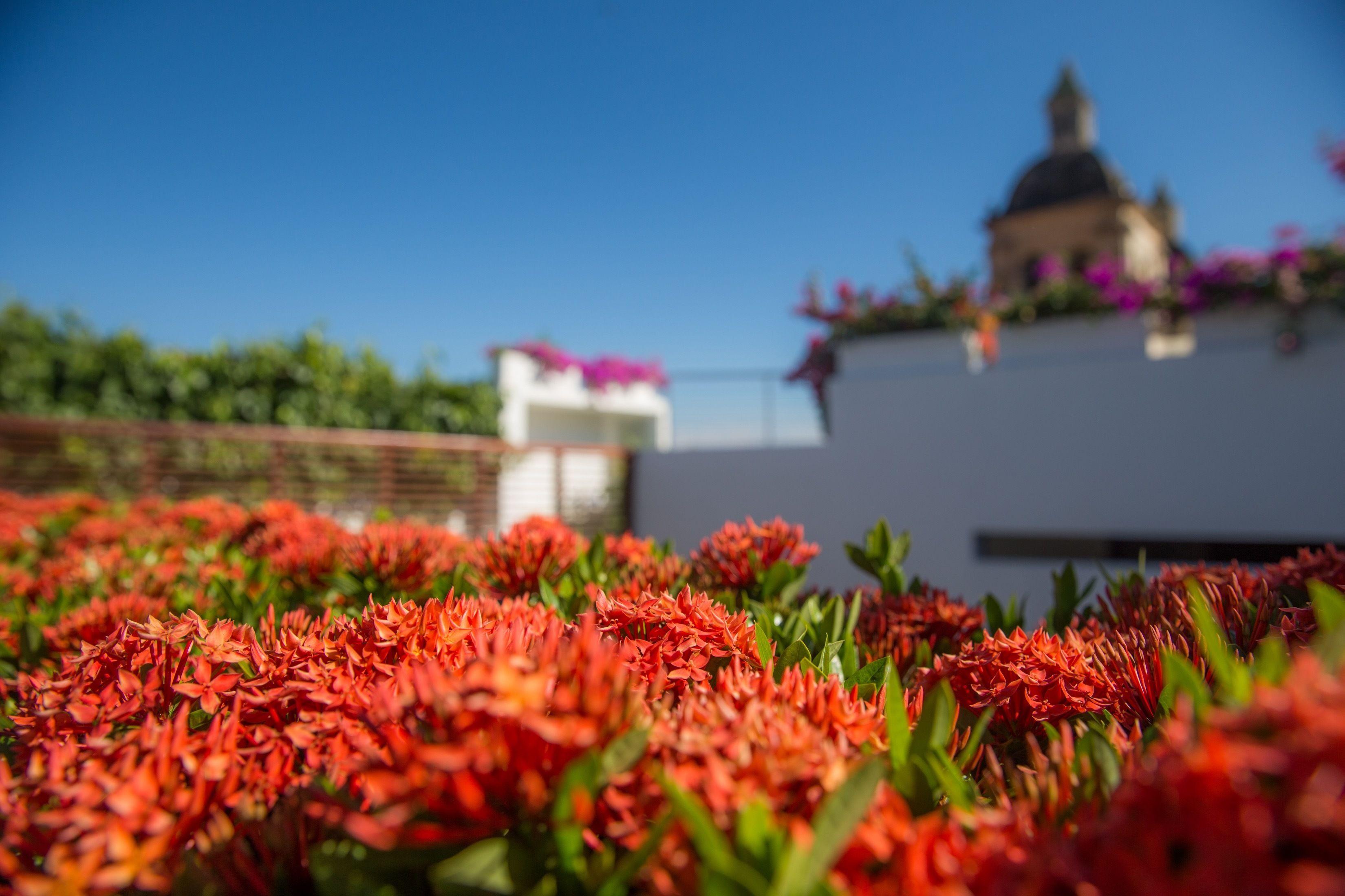 Casa Claver Loft Boutique Hotel Cartagena