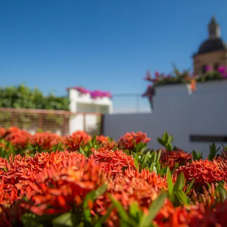 Casa Claver Loft Boutique Hotel Cartagena